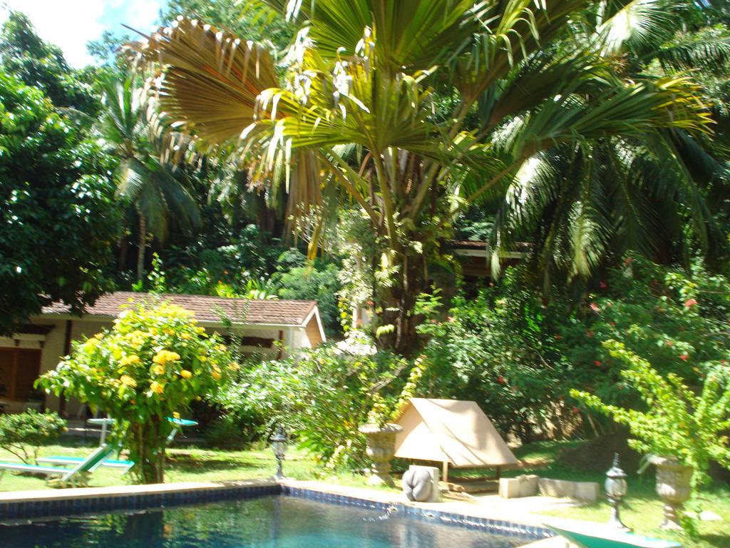 Cote Sud - Unique Villa & Bungalows Intendance Road Takamaka Værelse billede