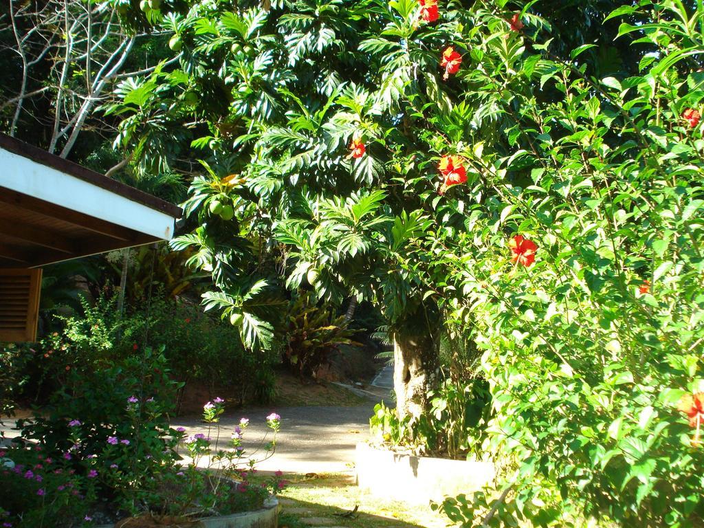 Cote Sud - Unique Villa & Bungalows Intendance Road Takamaka Værelse billede